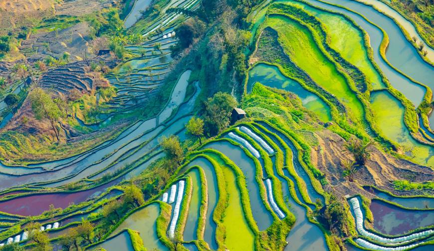 宝妈必备神器：龙湾区产品视频拍摄轻松育儿好帮手